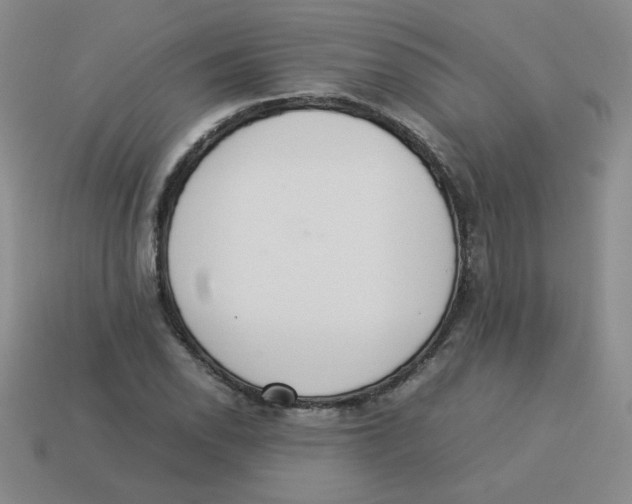 X0000113351118200910131234