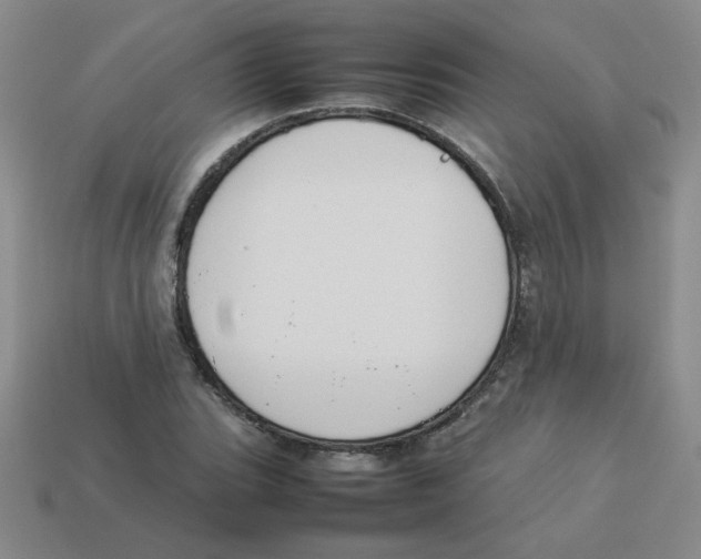 X0000113351119200910131234