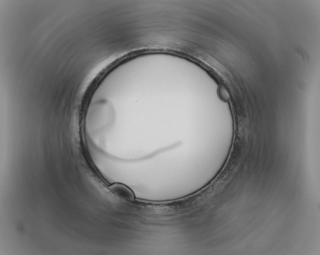 X0000113351120200910131234