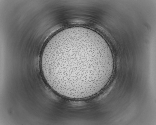 X0000113351121200910131234