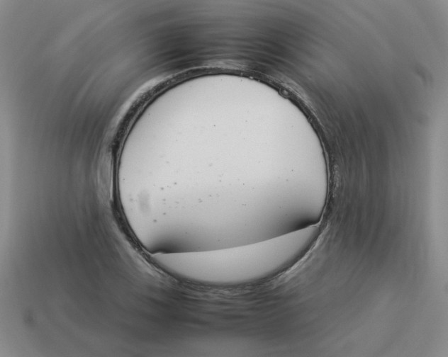 X0000113351123200910131234