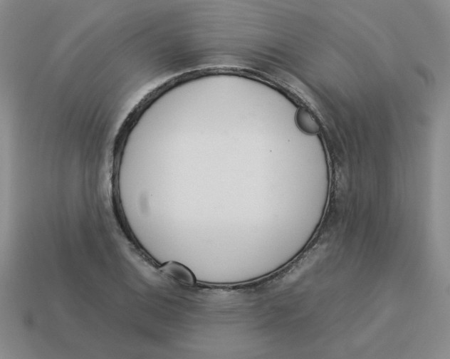 X0000113351124200910131234