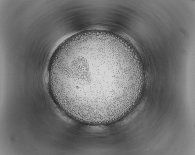 X0000113351125200910131234