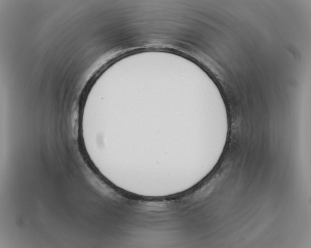 X0000113351126200910131234