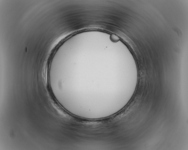 X0000113351127200910131234