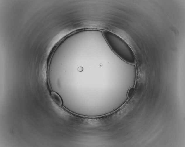 X0000113351128200910131234