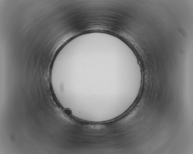 X0000113351129200910131234