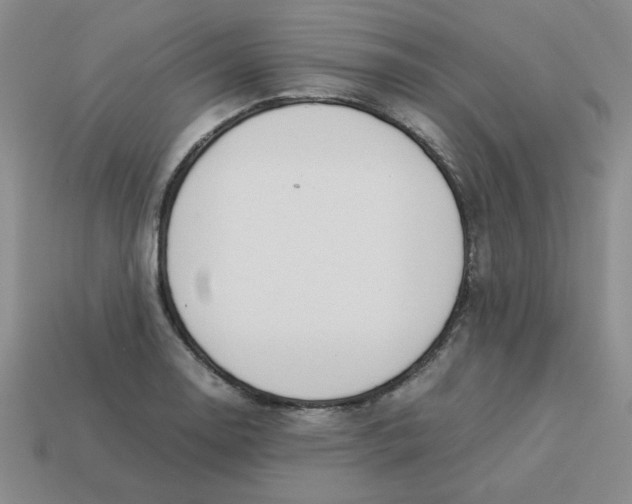 X0000113351130200910131234