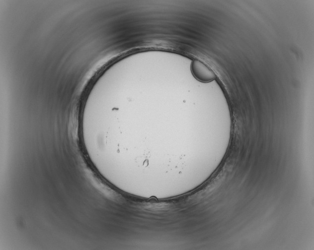 X0000113351131200910131234