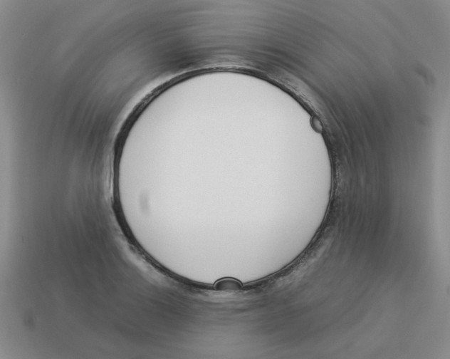 X0000113351132200910131234