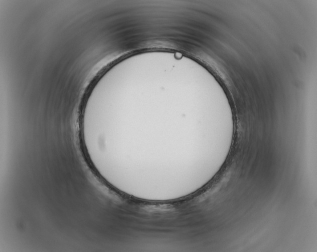 X0000113351133200910131234