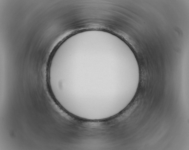 X0000113351134200910131234