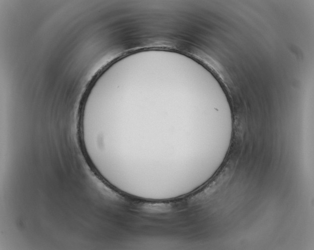 X0000113351135200910131234