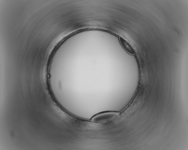 X0000113351136200910131234