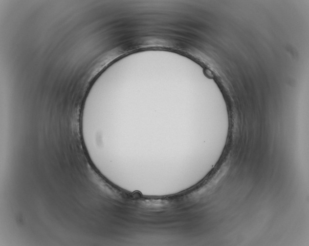 X0000113351137200910131234