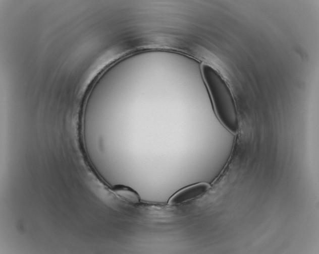 X0000113351138200910131234