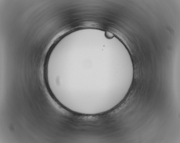 X0000113351139200910131234