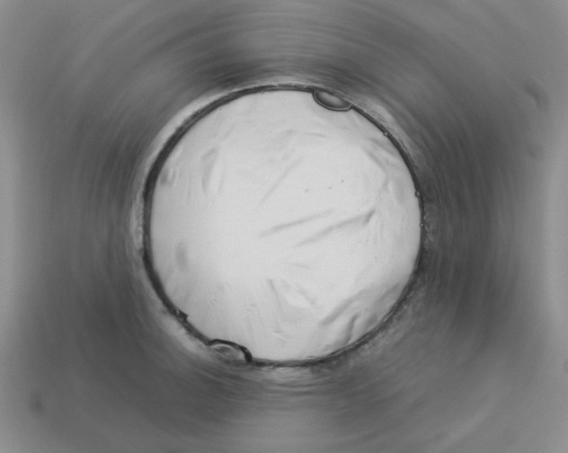 X0000113351140200910131234