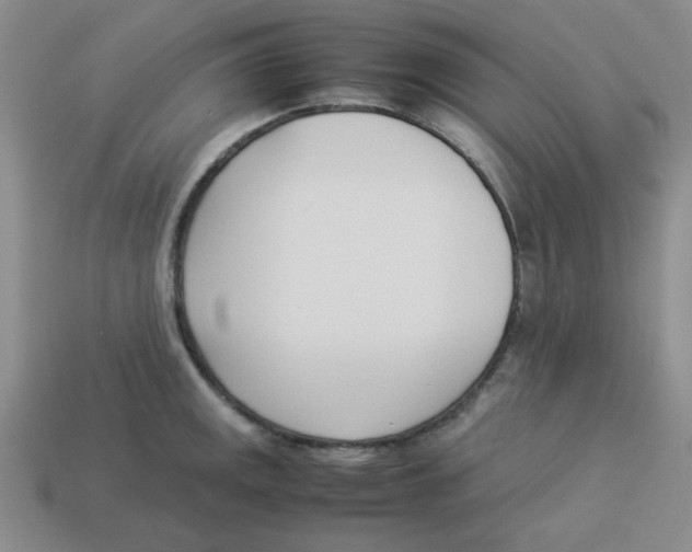 X0000113351141200910131234