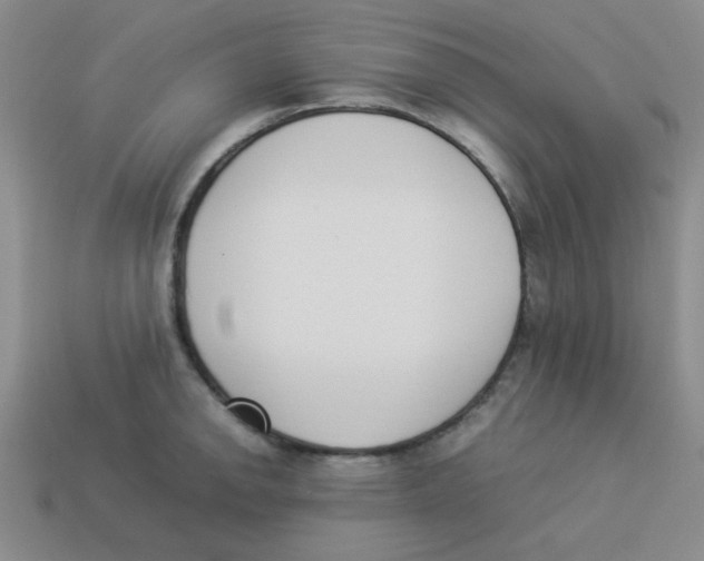 X0000113351142200910131234