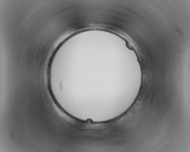 X0000113351143200910131234