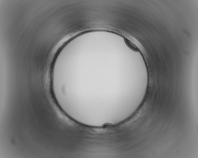 X0000113351144200910131234