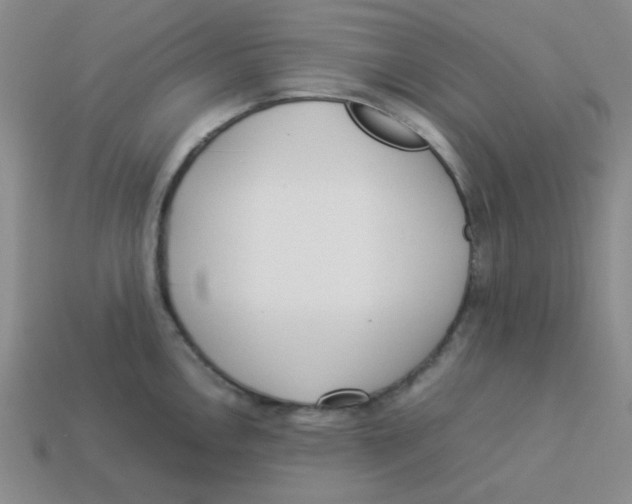 X0000113351146200910131234