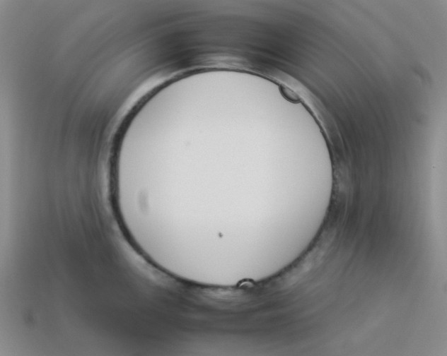 X0000113351147200910131234