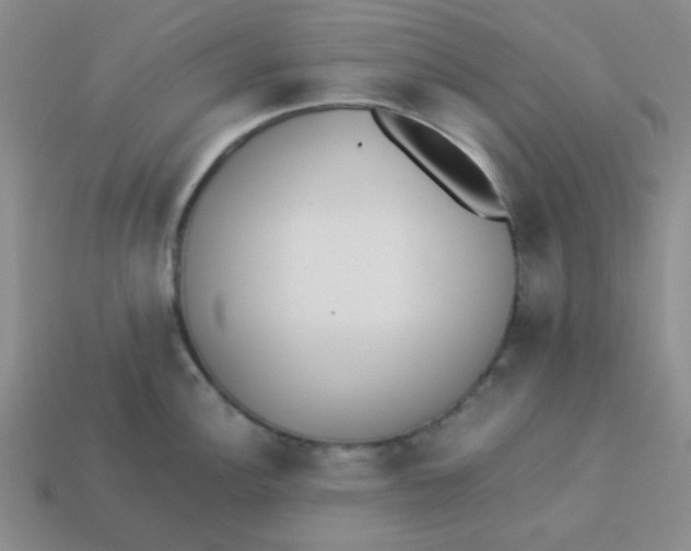 X0000113351148200910131234