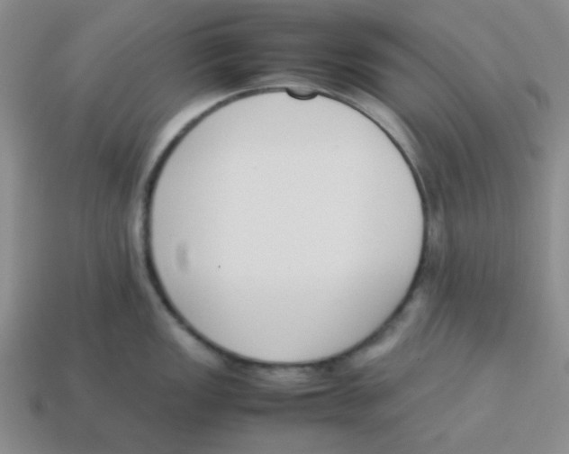 X0000113351149200910131234