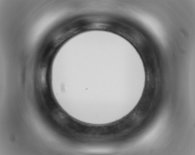 X0000113351150200910131234