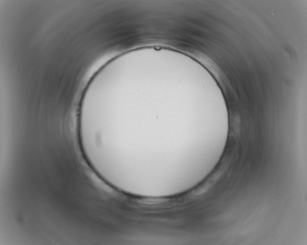 X0000113351151200910131234