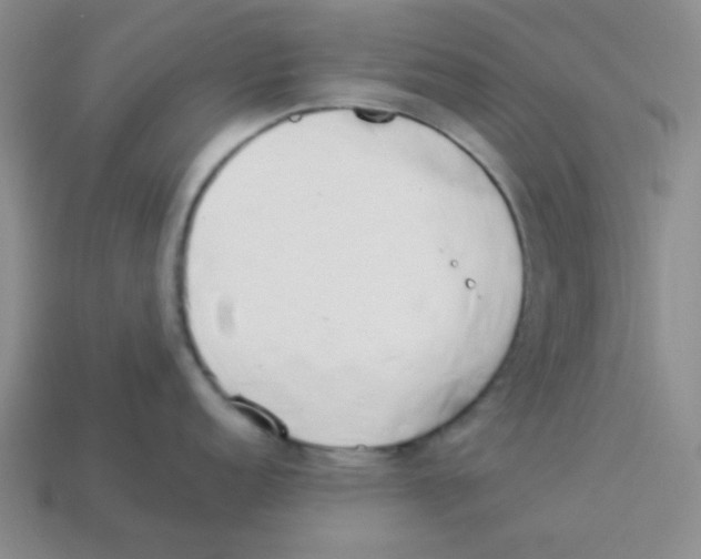 X0000113351152200910131234