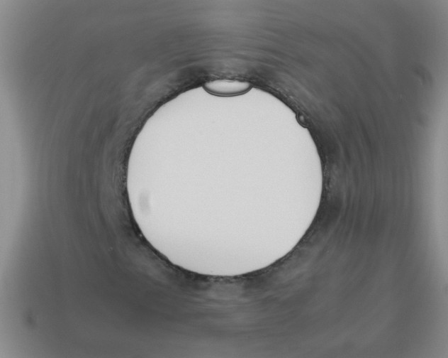 X0000113351153200910131234