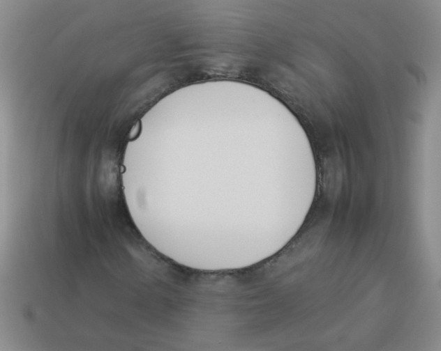 X0000113351154200910131234