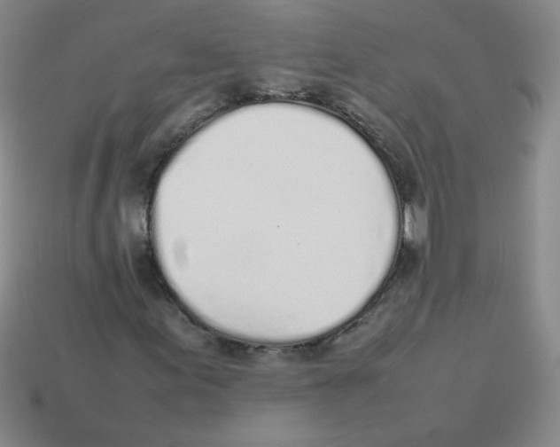 X0000113351155200910131234