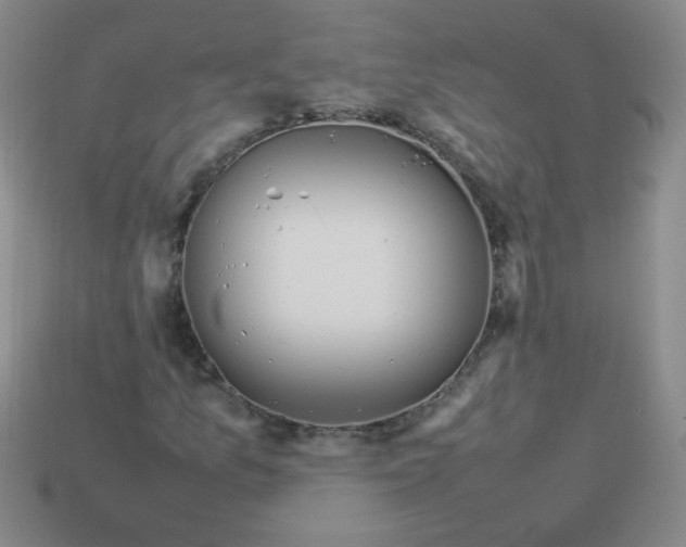 X0000113351157200910131233