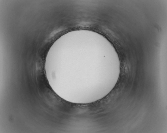 X0000113351158200910131233