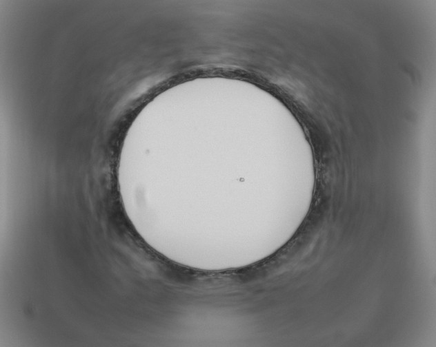 X0000113351159200910131233