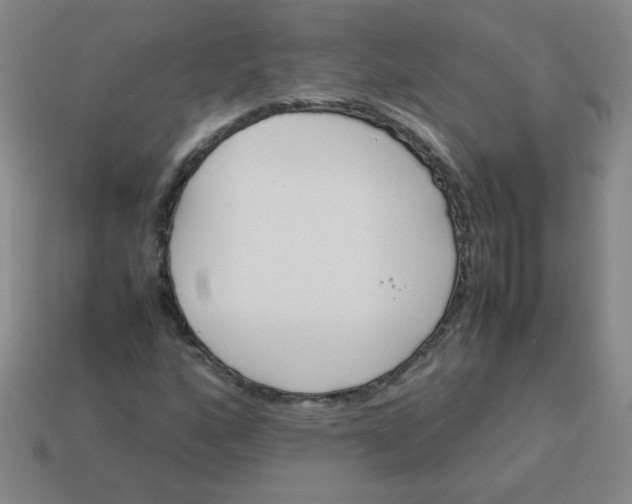 X0000113351160200910131233