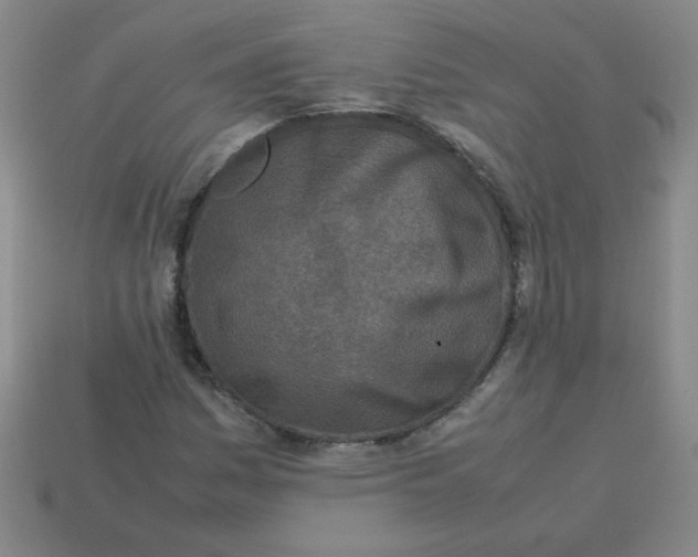 X0000113351161200910131233