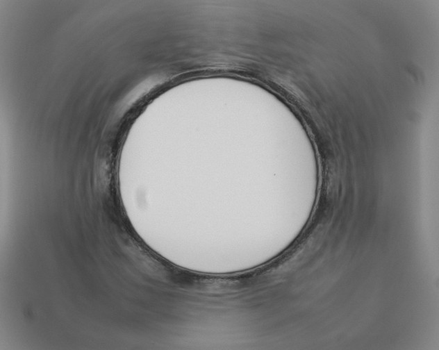 X0000113351163200910131233