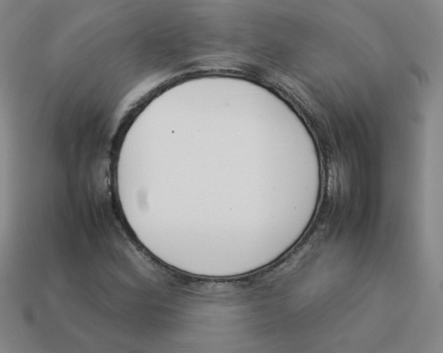 X0000113351164200910131233