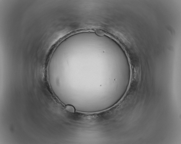 X0000113351165200910131233