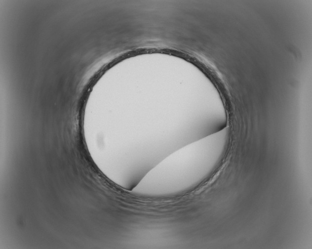 X0000113351167200910131233