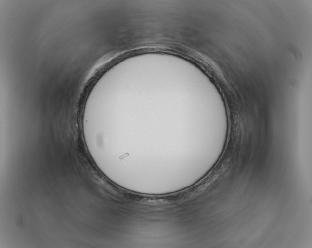 X0000113351168200910131233