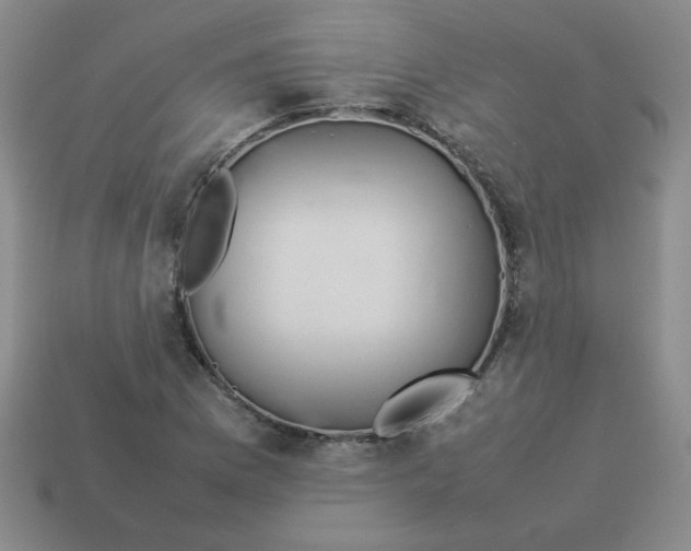 X0000113351169200910131233