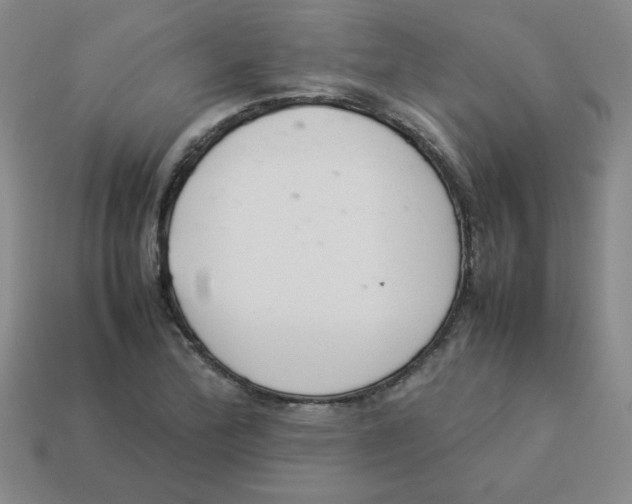 X0000113351172200910131233