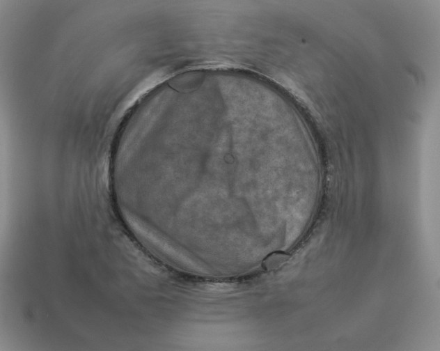 X0000113351173200910131233