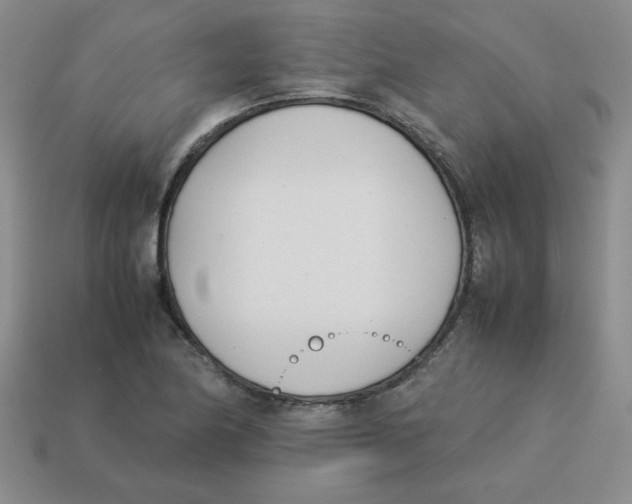 X0000113351174200910131233